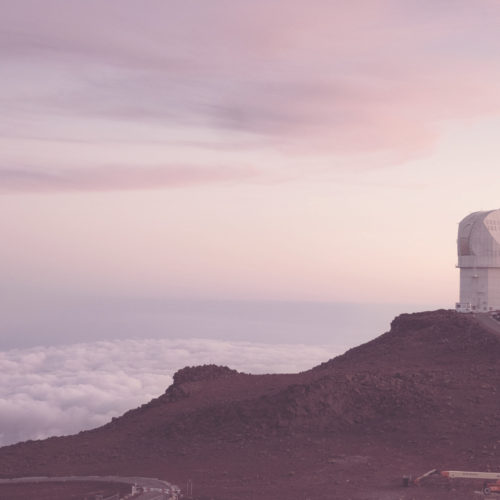 Cosmos, cosmética e caos: o sistema de Lina Meruane