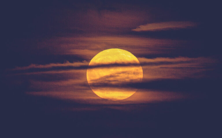 A questão da técnica