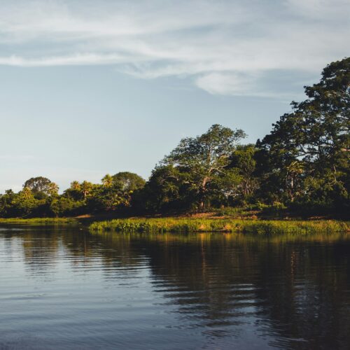 Ecocídio no Pantanal