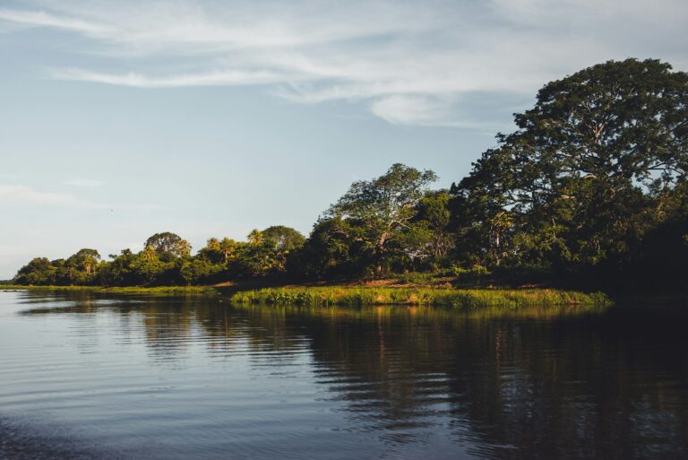 Ecocídio no Pantanal